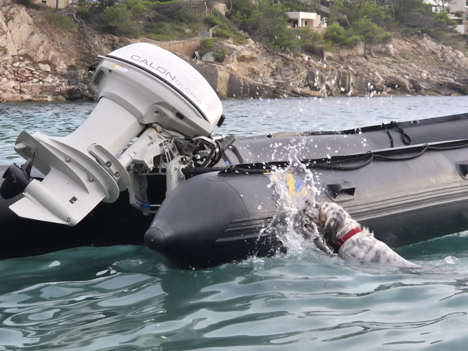 2 stroke 40 hp outboard 2 stroke 40 hp outboard